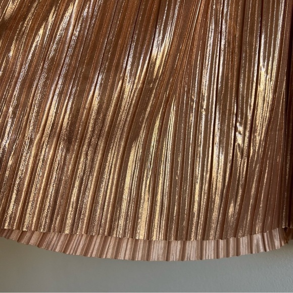 Sabina Musayev Laurel Dress in Rose Gold - Picture 9 of 16